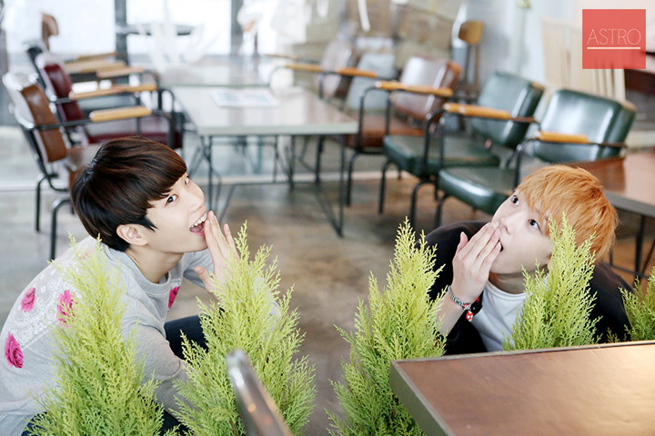 카페아스트로 이미지