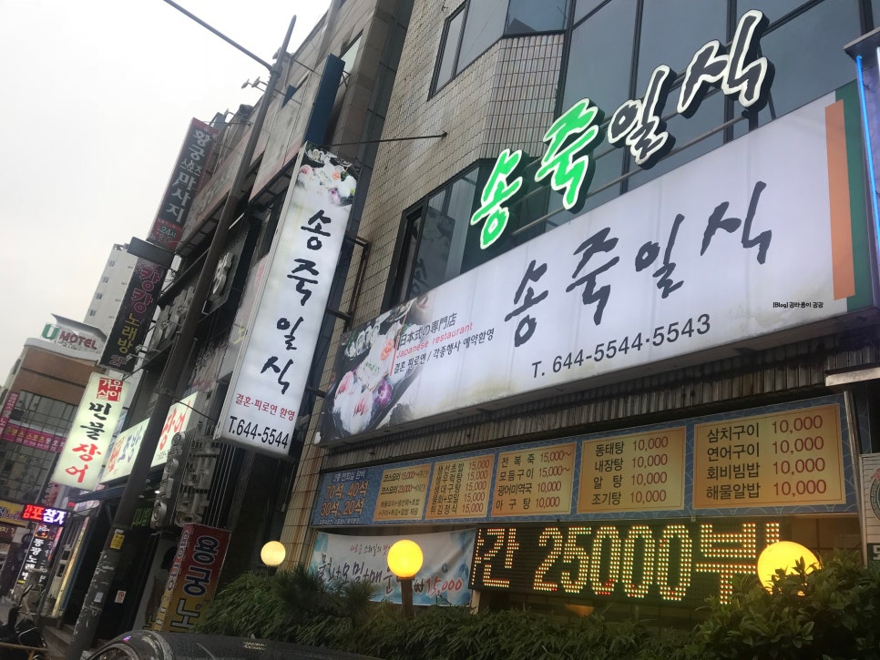 송죽일식 이미지