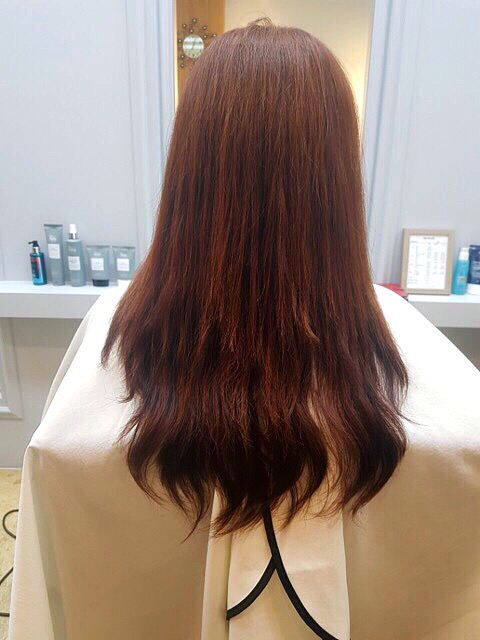 비비헤어(BB헤어) 이미지