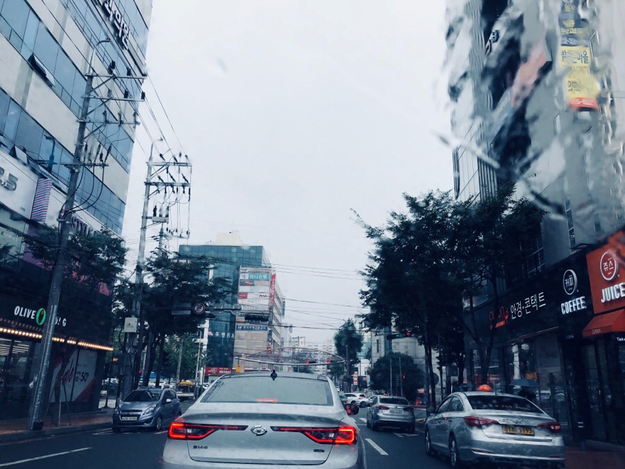 들풀한의원 이미지