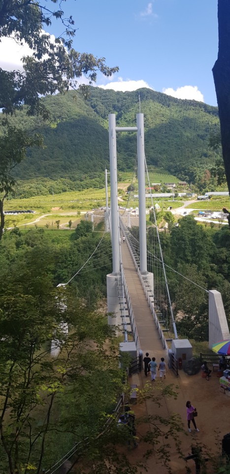 더원행정사사무소 이미지