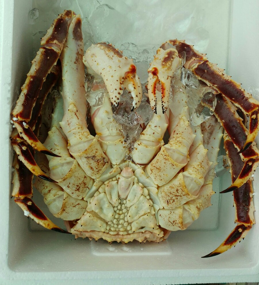 전주수산시장(주) 이미지