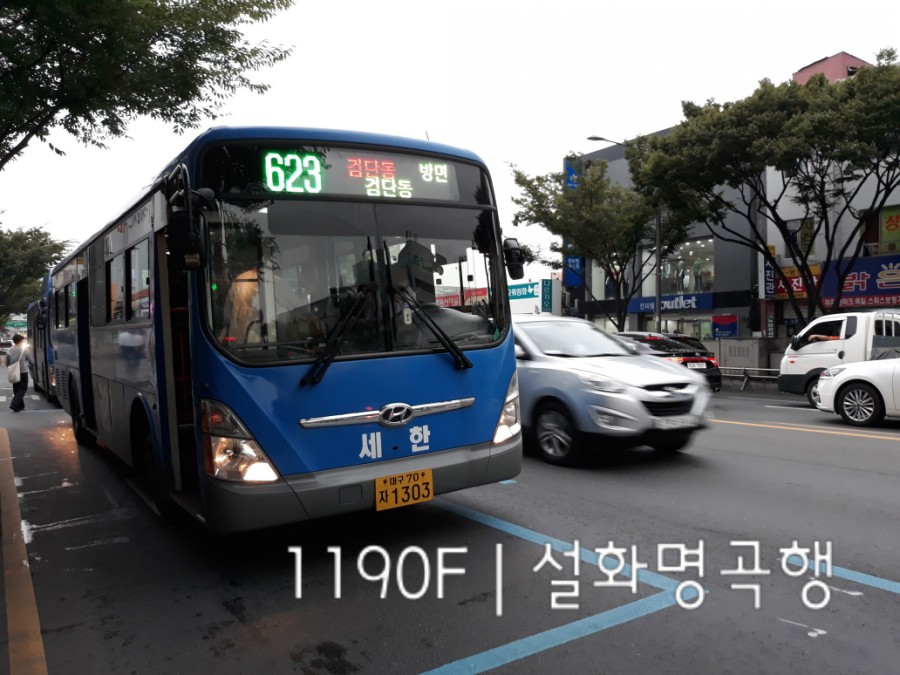 대명나무병원 이미지