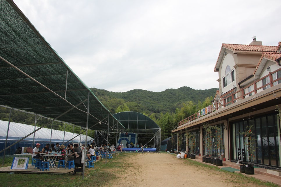 냉산친환경체험농장 이미지