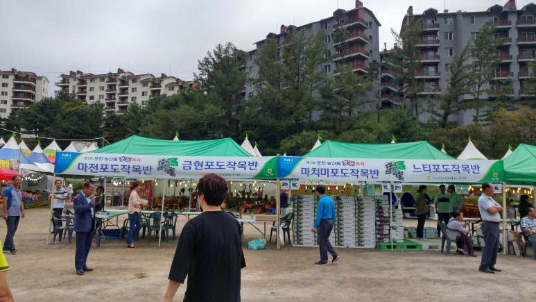 농산물포도판매 이미지