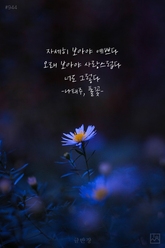 오늘도너는예쁘다 이미지