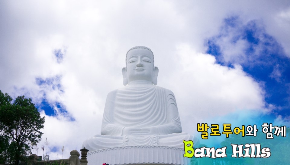 바나플라워 이미지