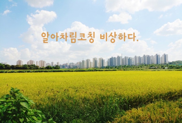 에스에스엠컨설팅 이미지