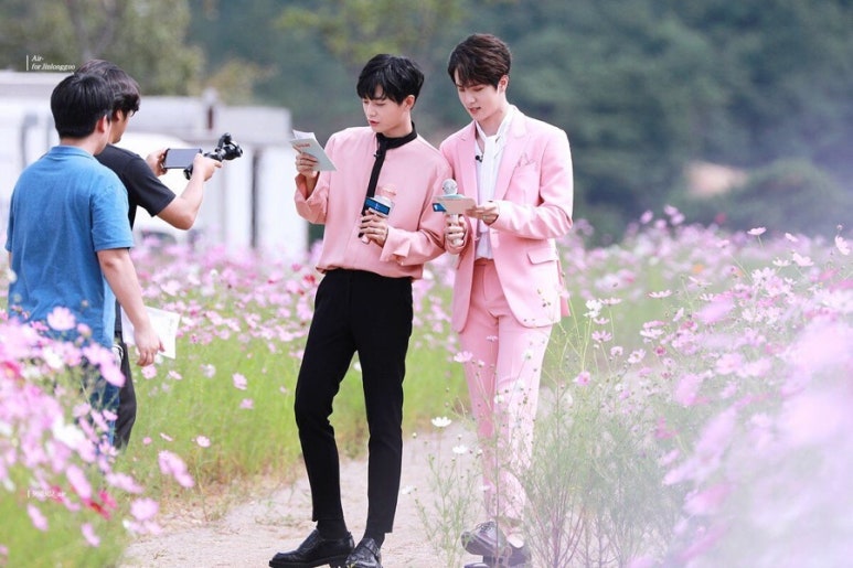 깅코 이미지