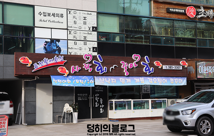 사랑회좋아회 이미지