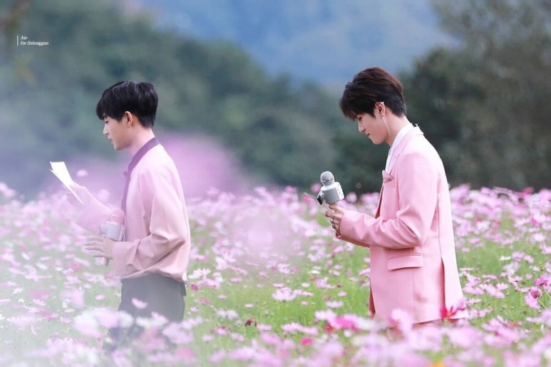 깅코 이미지
