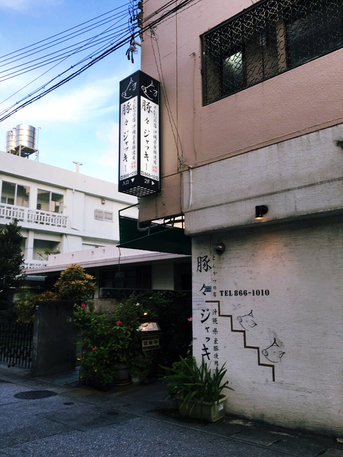 톤톤돼지 이미지