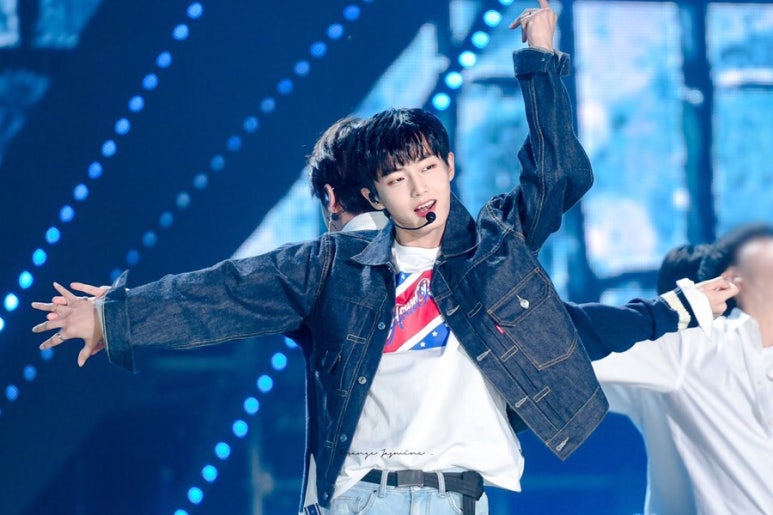 깅코 이미지