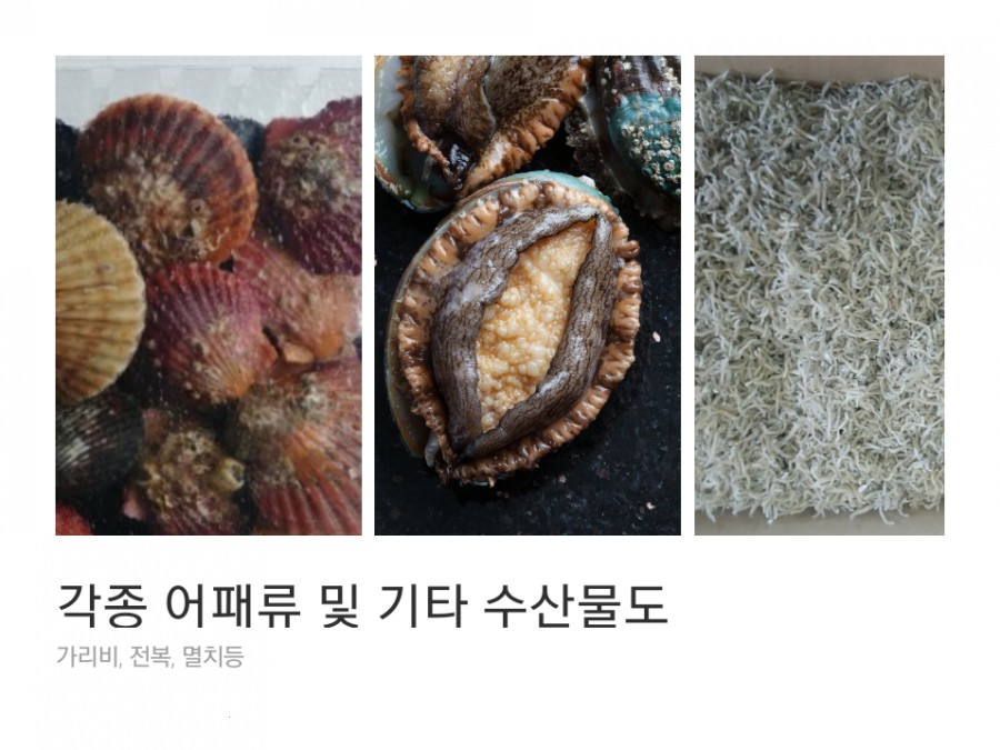통영어패류 이미지