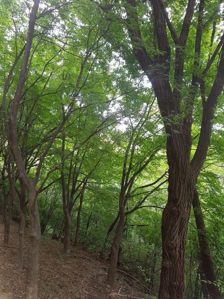 사람과커뮤니케이션 이미지