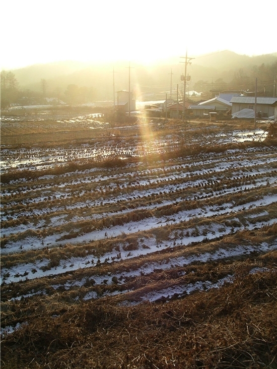 조아조아 이미지