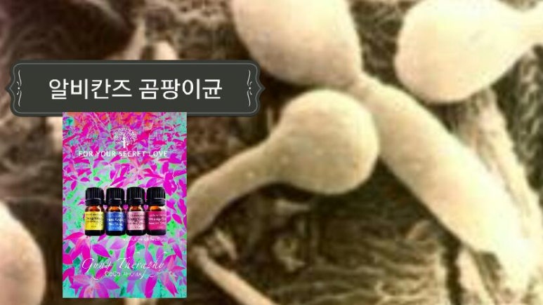 연피부관리 이미지