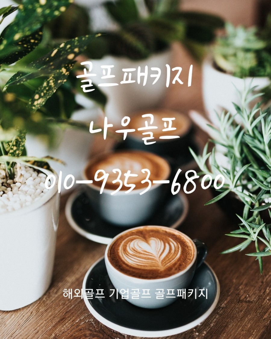 나우골프 이미지