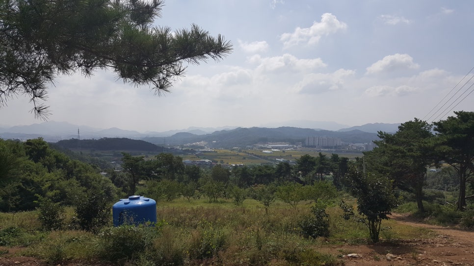 제천시내 전경 이미지