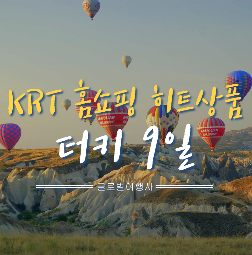 (주)앙코르여행사 이미지