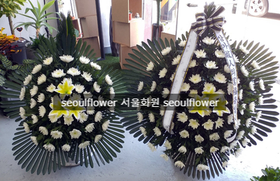 대국화원 이미지
