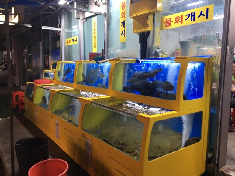 광어15000 이미지