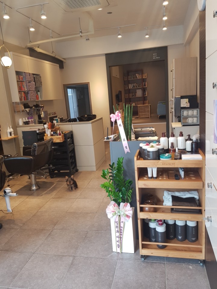 살롱 드 오늘 이미지