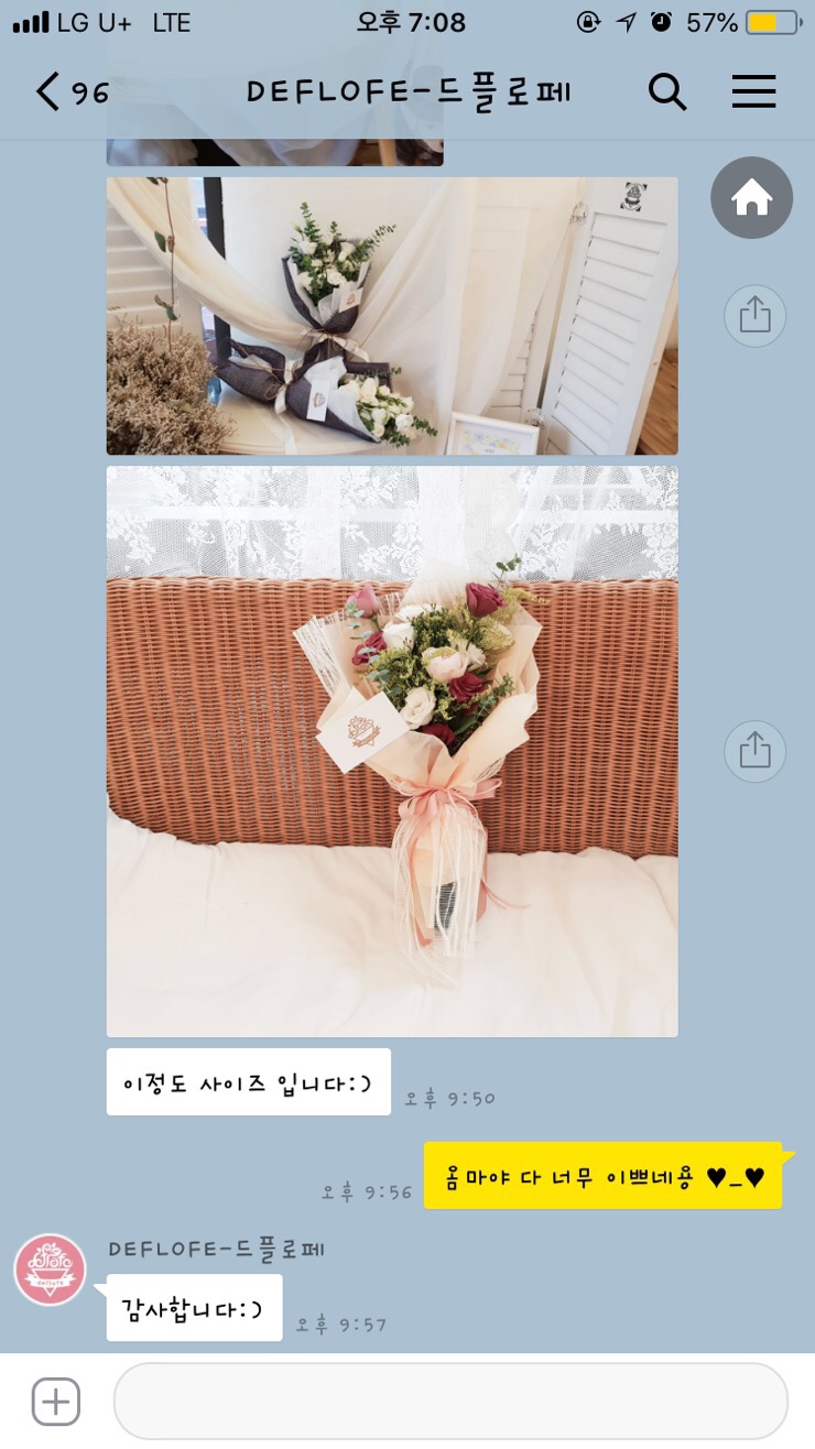 드플로페 이미지