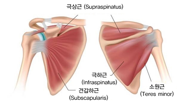 더셀채원병원 이미지