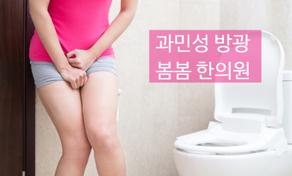 봄봄 이미지