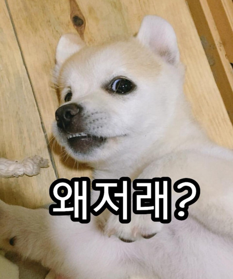 삼연 이미지