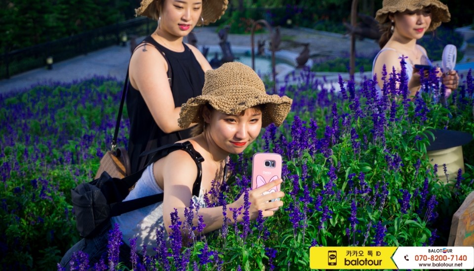 바나플라워 이미지