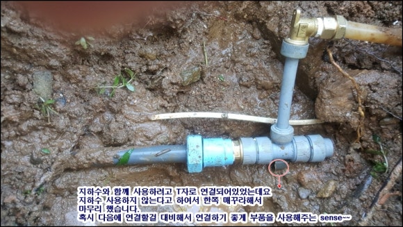 나주토하젓 이미지