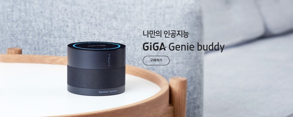 기가케이티 이미지