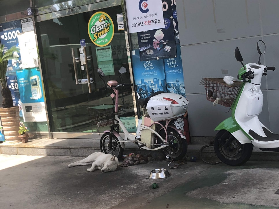 연산셀프주유소 이미지