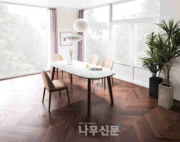 디자인도무스 이미지