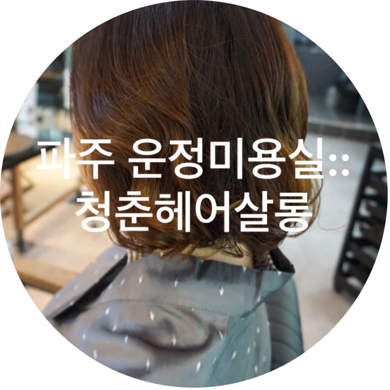 청춘헤어살롱 이미지
