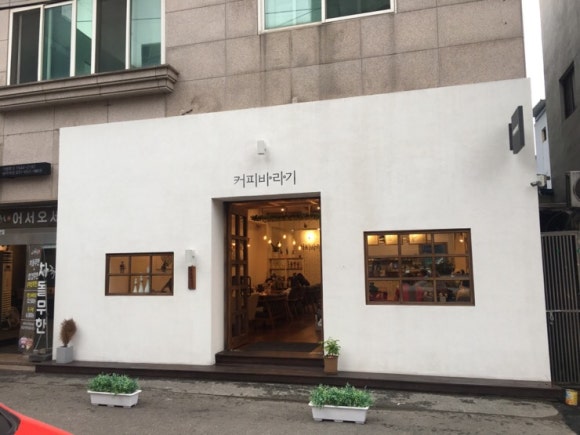 커피바라기 이미지