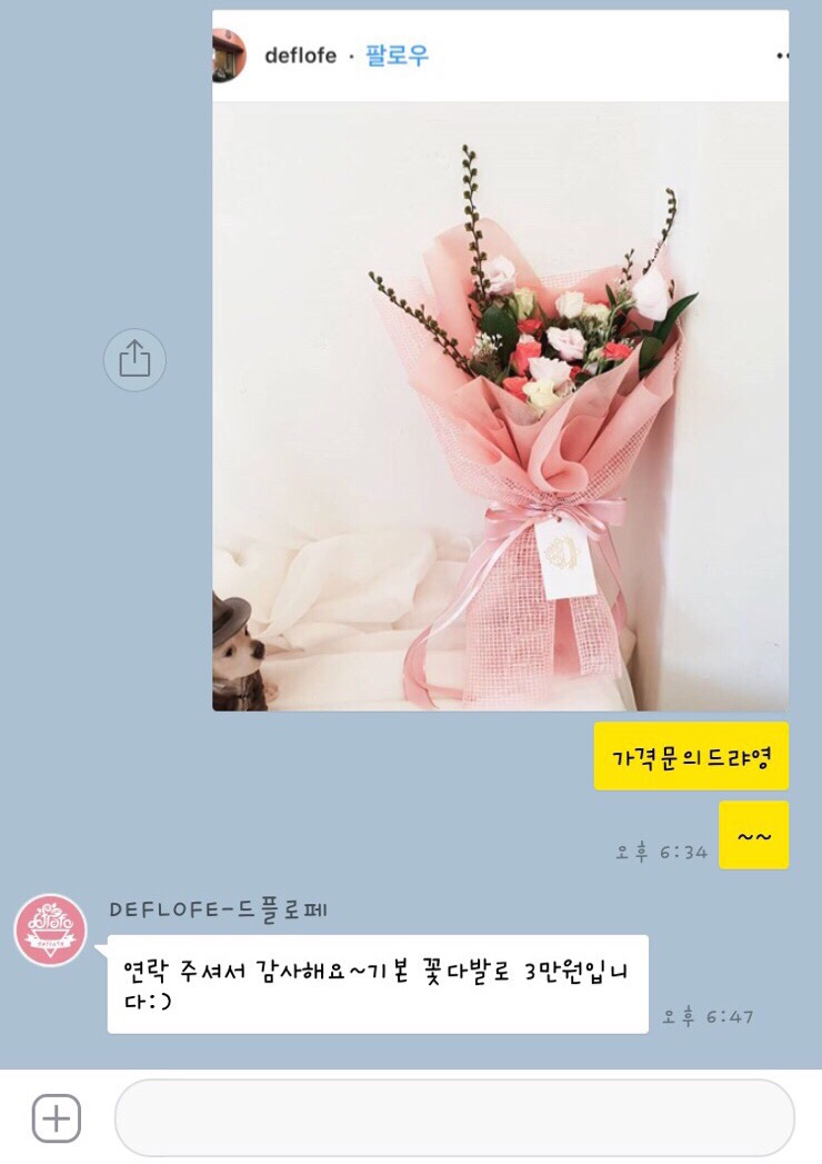 드플로페 이미지