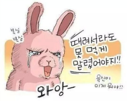 신양자강 이미지