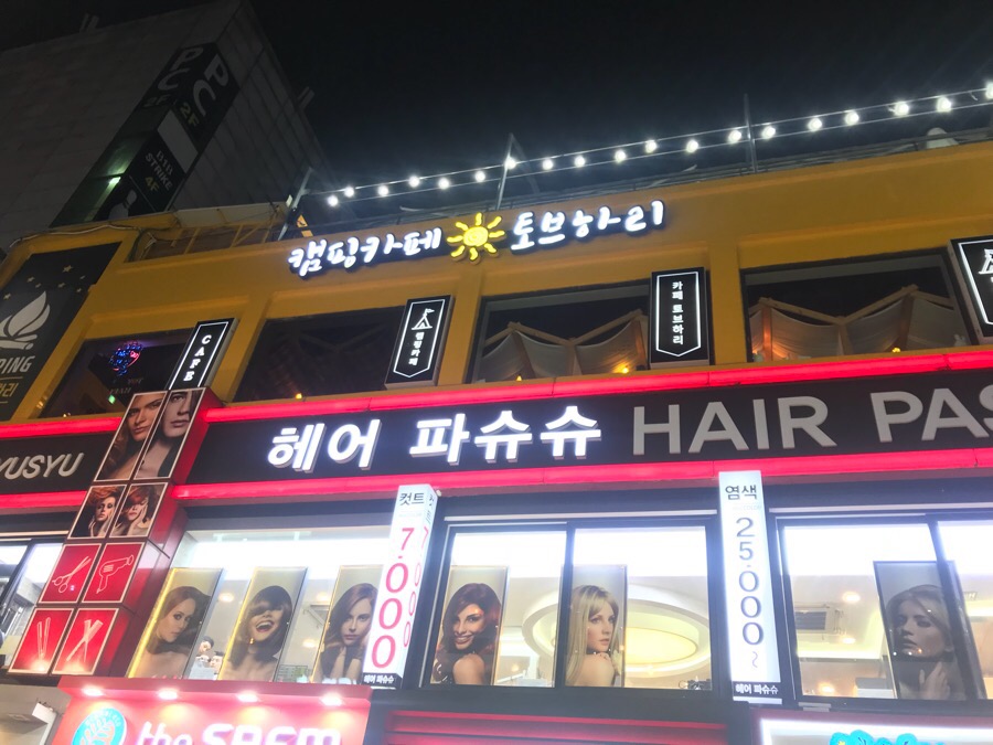 토브하리카페 이미지