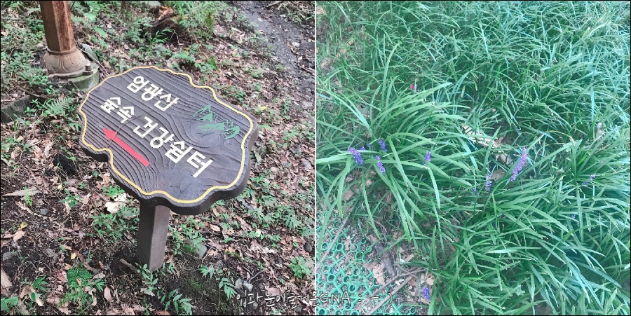 둘래아구찜 이미지
