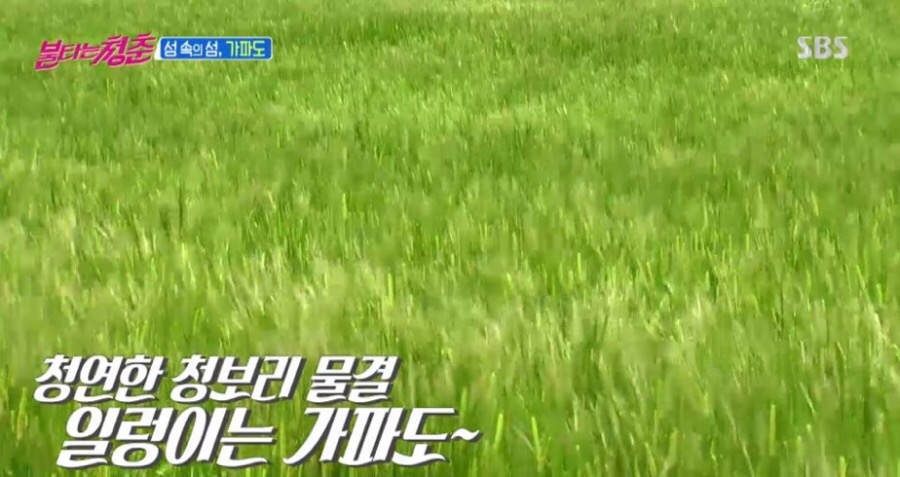 불타는분식 이미지