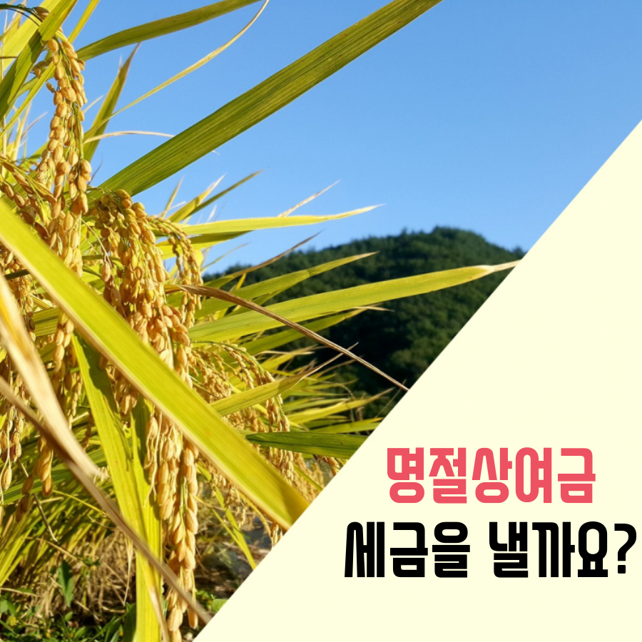 문정세무회계컨설팅 이미지
