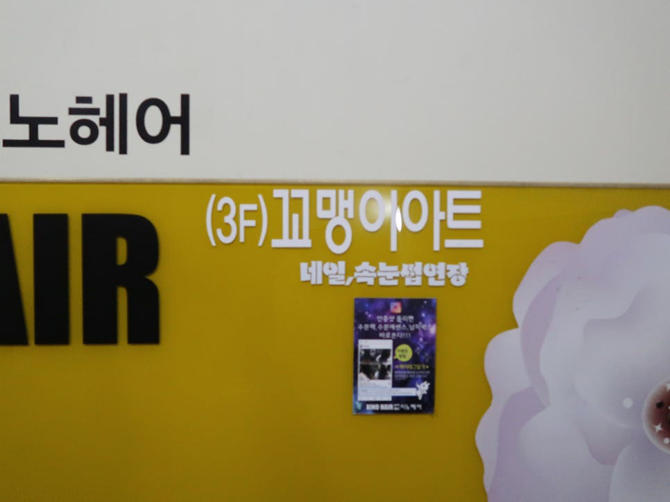 주노네일 이미지