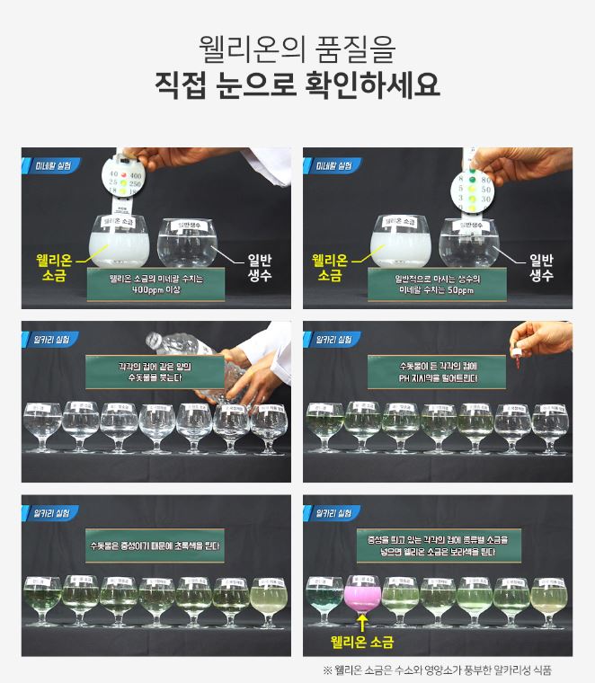 웰리온 이미지