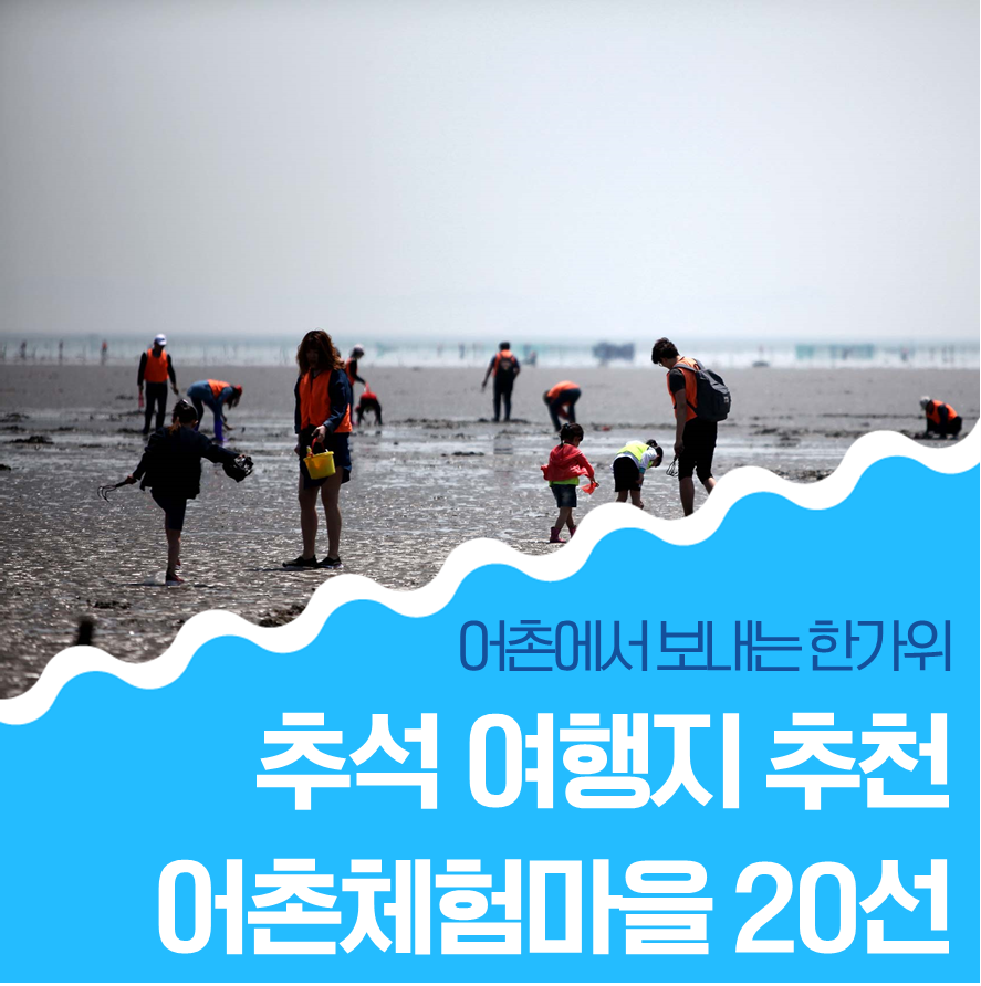 고동마을칼국수 이미지