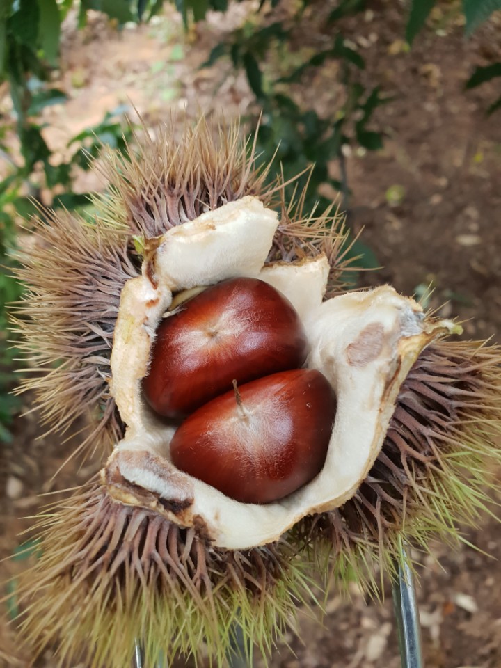좋은밤 이미지