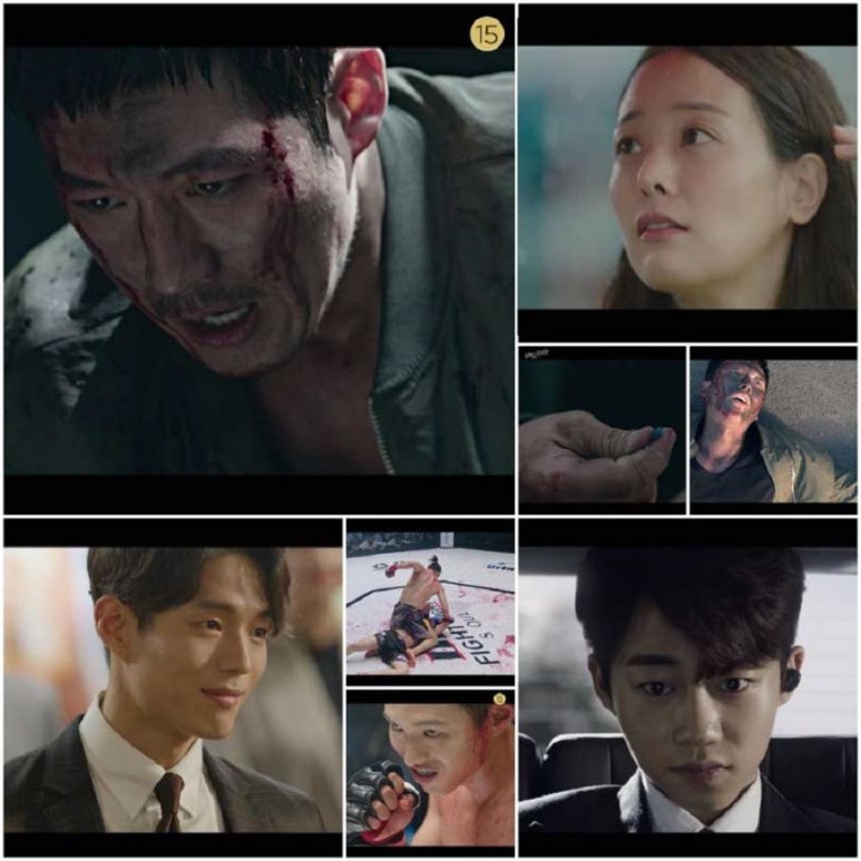 파파피나 이미지
