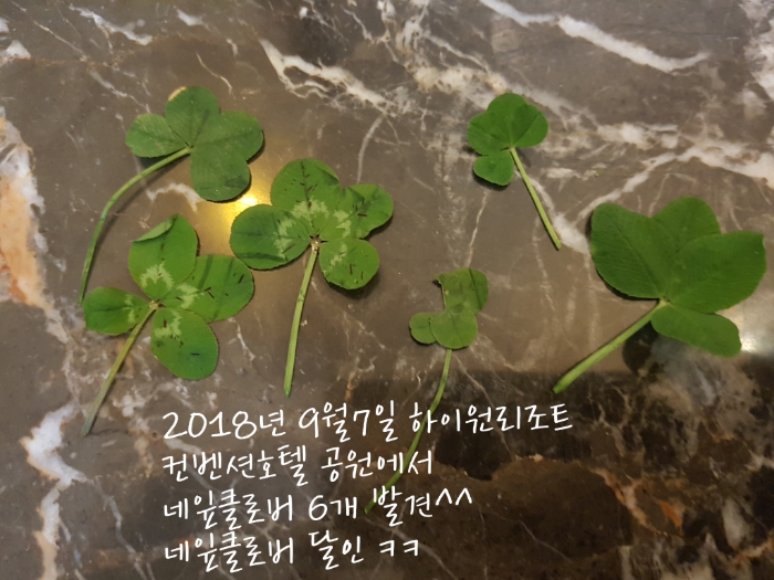 더브러컴퍼니 이미지
